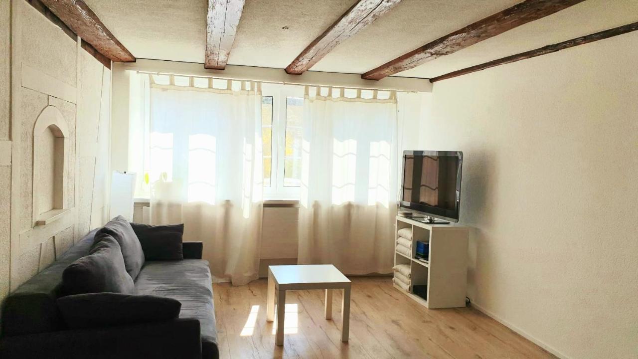 Cozy Apartment Close To Zurich Airport And City Oberglatt Kültér fotó