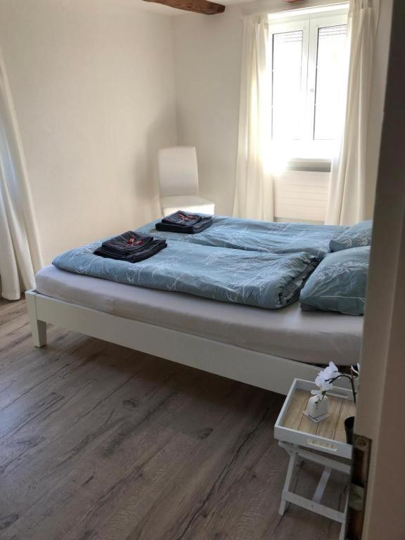 Cozy Apartment Close To Zurich Airport And City Oberglatt Kültér fotó