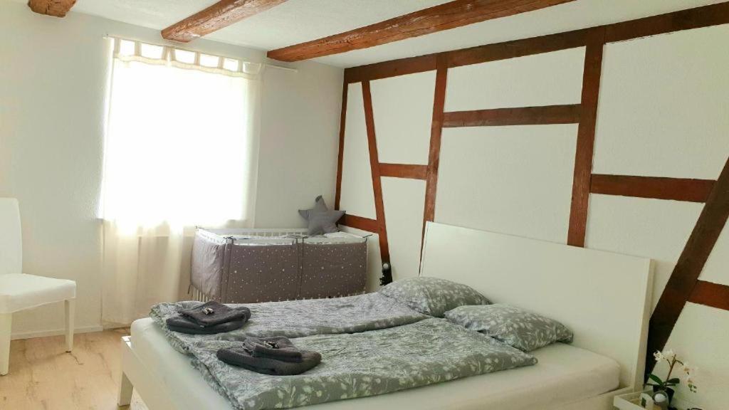 Cozy Apartment Close To Zurich Airport And City Oberglatt Kültér fotó