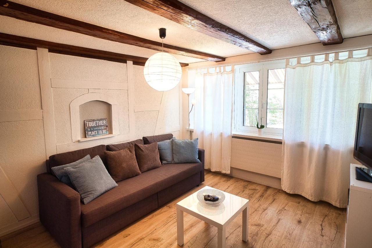 Cozy Apartment Close To Zurich Airport And City Oberglatt Kültér fotó