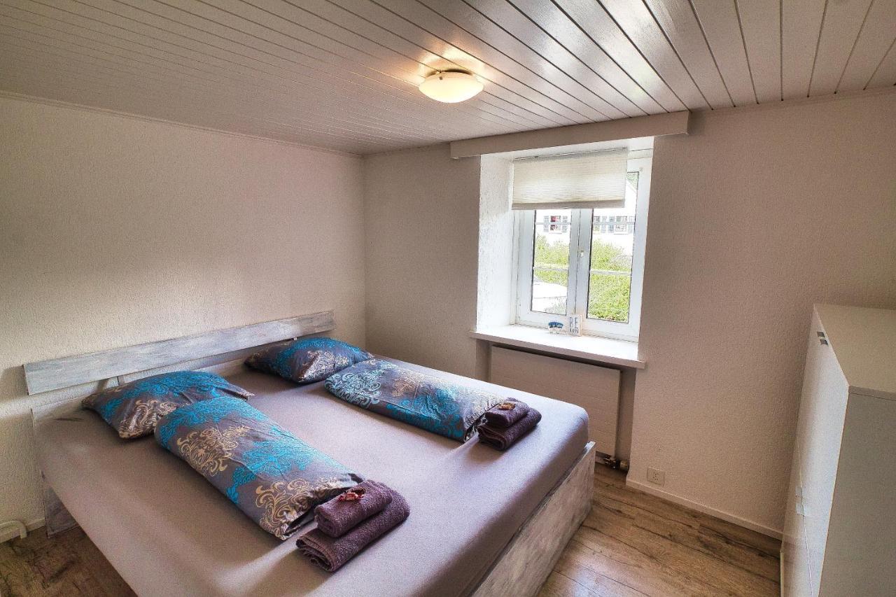 Cozy Apartment Close To Zurich Airport And City Oberglatt Kültér fotó