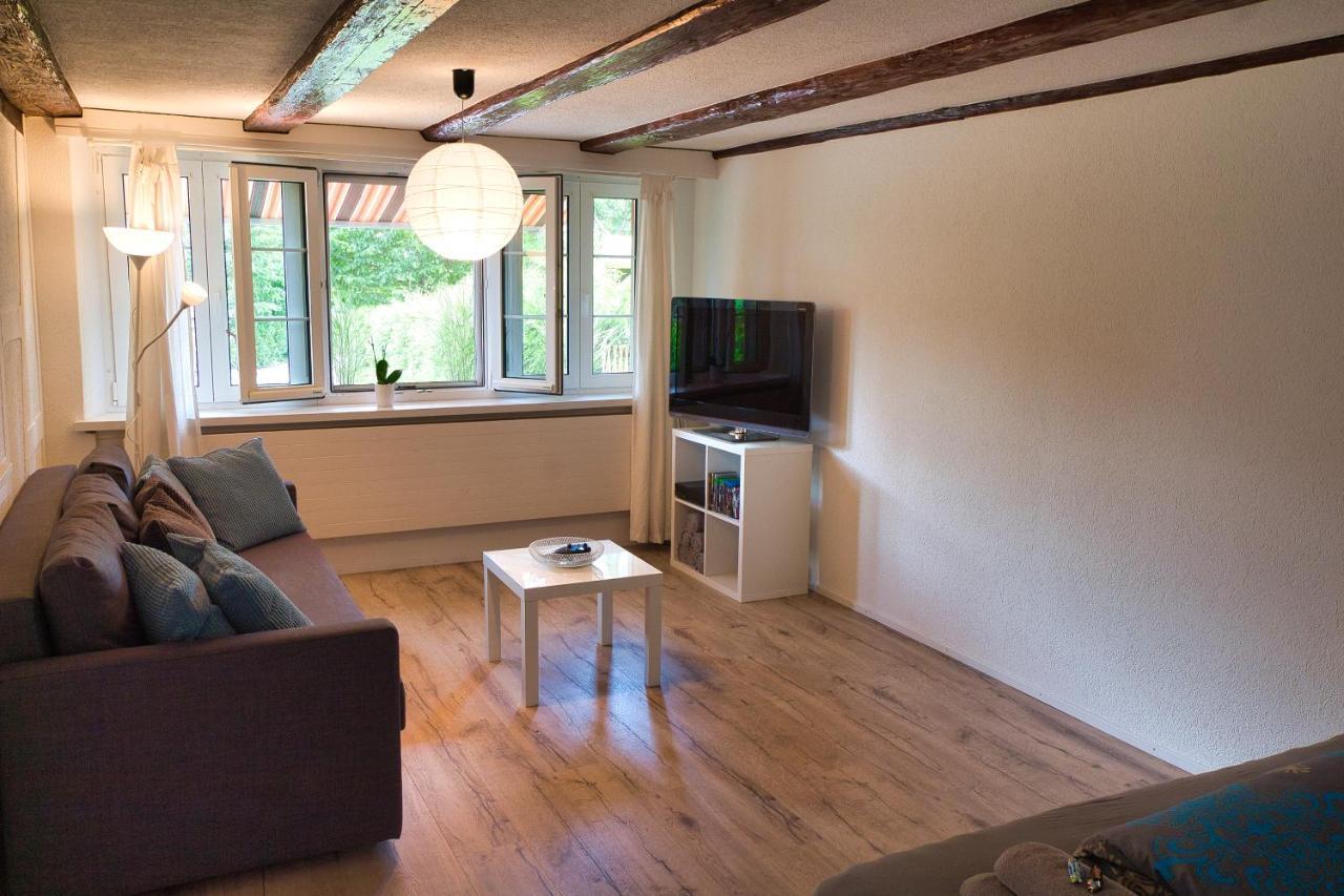Cozy Apartment Close To Zurich Airport And City Oberglatt Kültér fotó