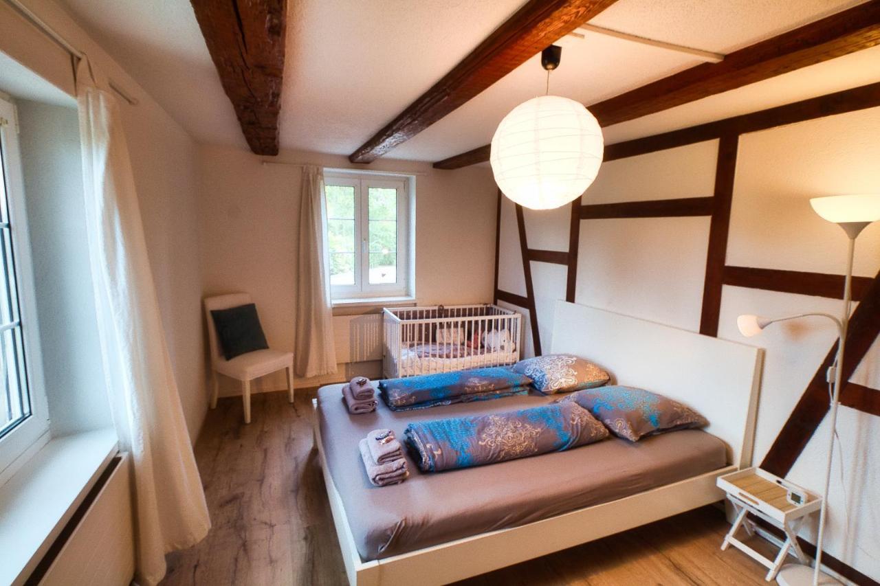 Cozy Apartment Close To Zurich Airport And City Oberglatt Kültér fotó
