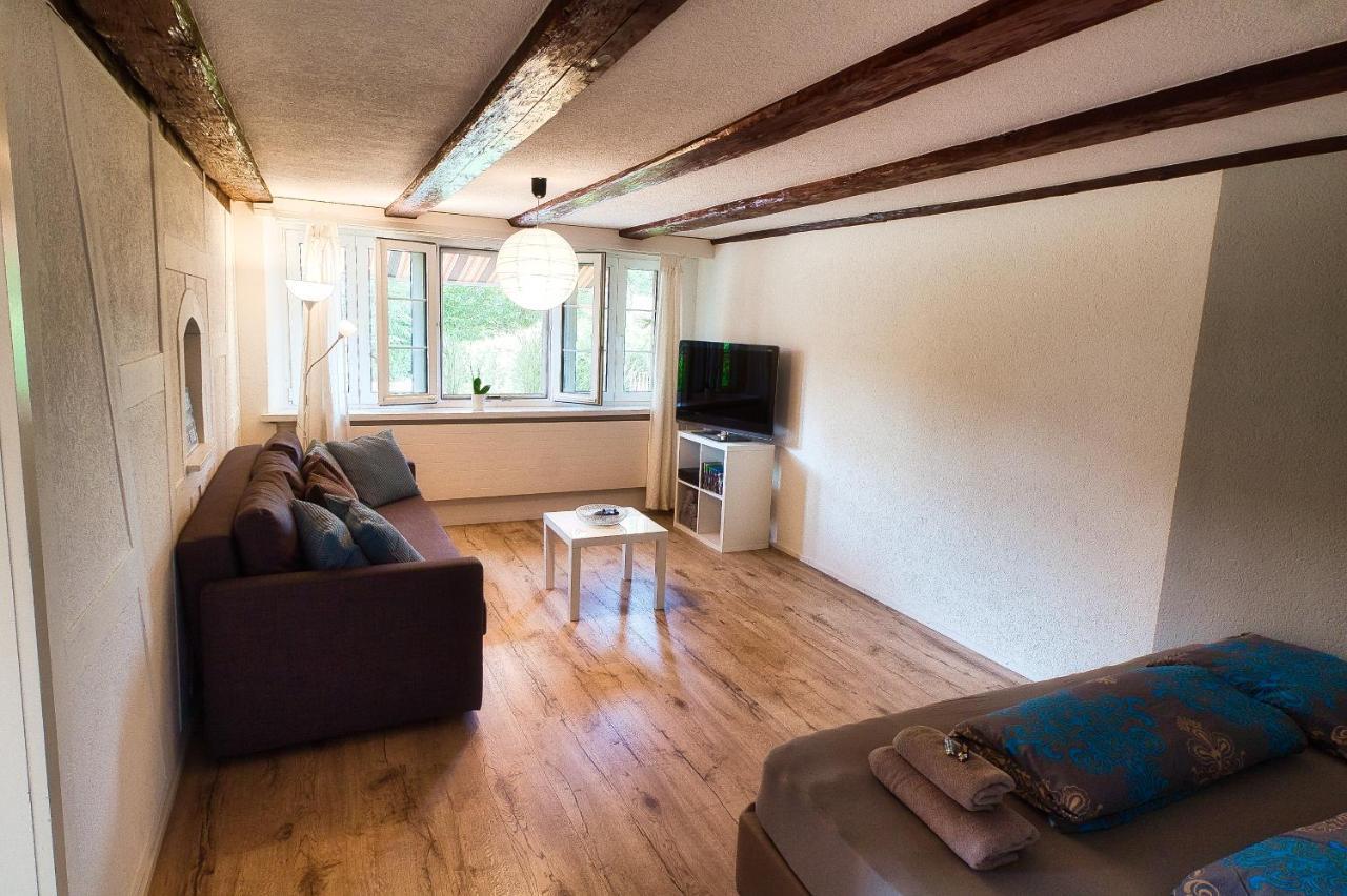 Cozy Apartment Close To Zurich Airport And City Oberglatt Kültér fotó