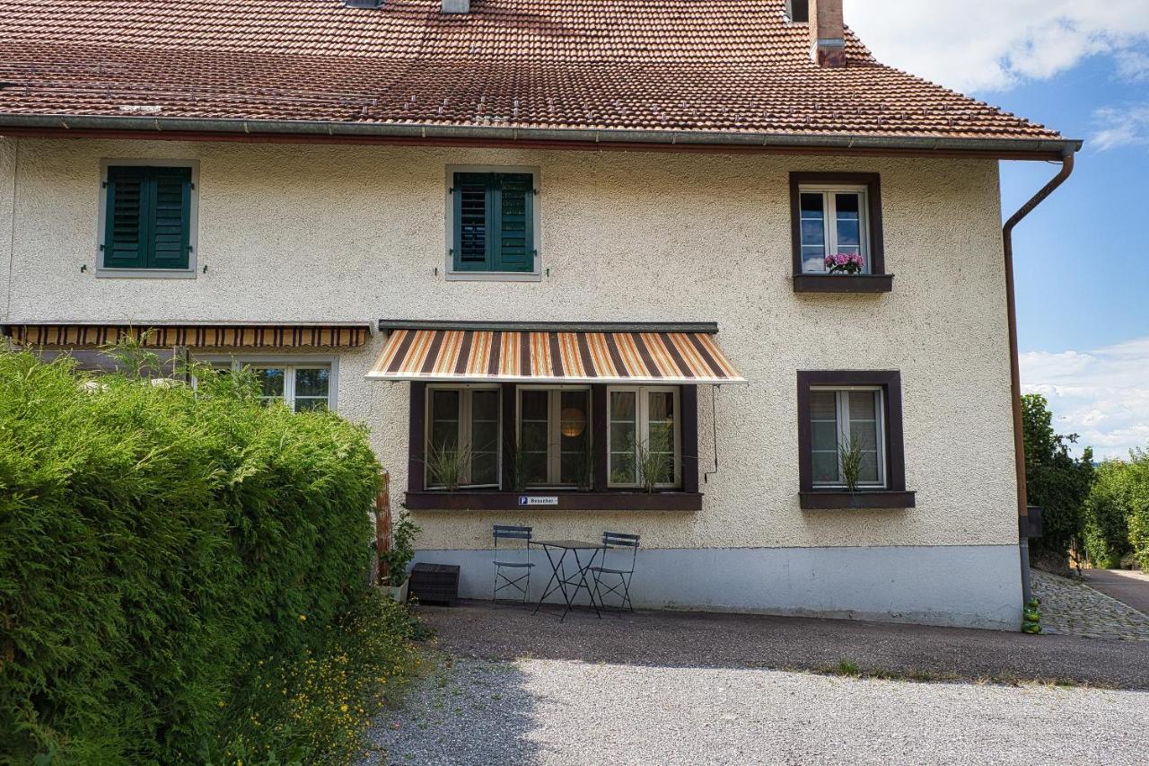Cozy Apartment Close To Zurich Airport And City Oberglatt Kültér fotó